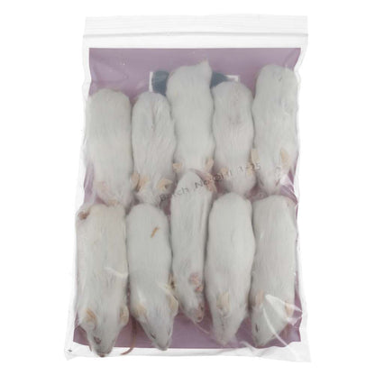 PLT Frozen Mice X-Large 30g+