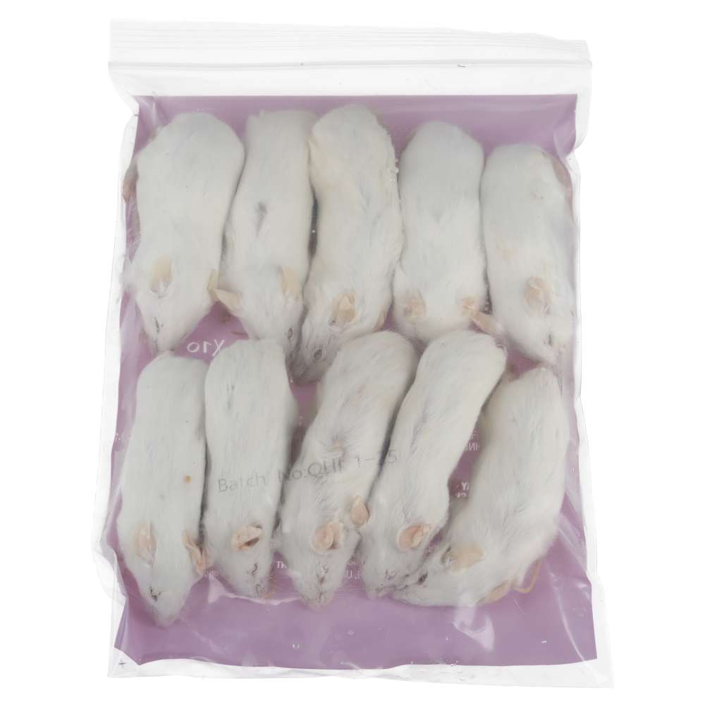PLT Frozen Mice Ex-Breeders 35g+