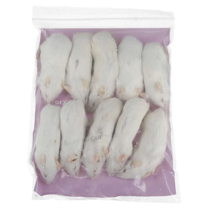 PLT Frozen Mice Ex-Breeders 35g+