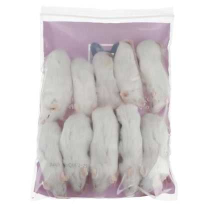 PLT Frozen Mice Ex-Breeders 40g+