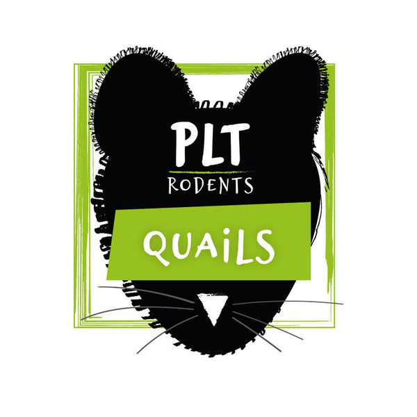 PLT Frozen Quail Small 5g+