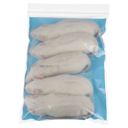 PLT Frozen Rats Small 100g+