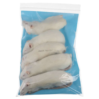 PLT Frozen Rats Small/Medium 130g+