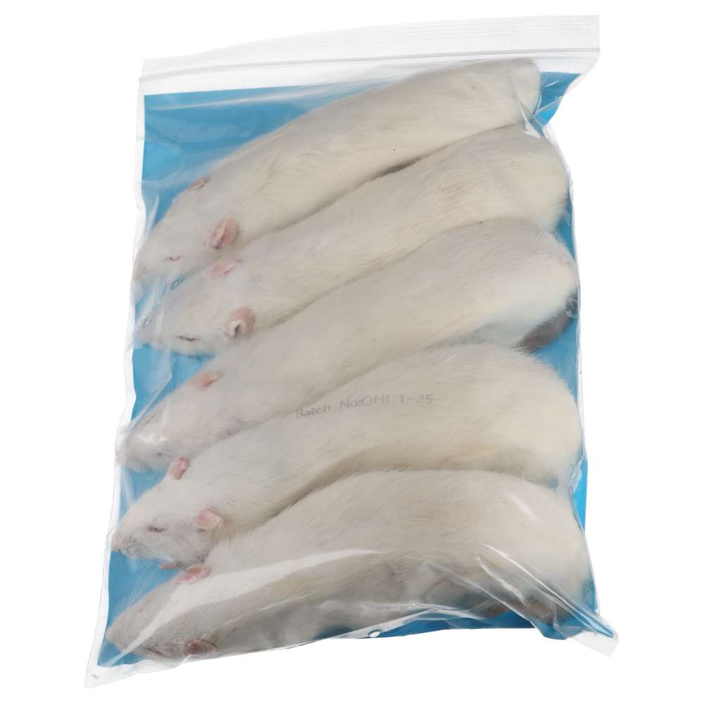 PLT Frozen Rats Jumbo 350g+