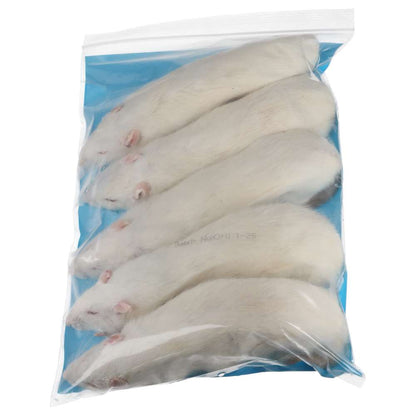 PLT Frozen Rats Jumbo 350g+