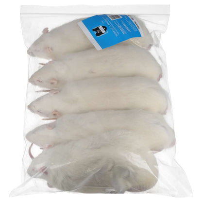 PLT Frozen Rats Ex-Breeder 450g+