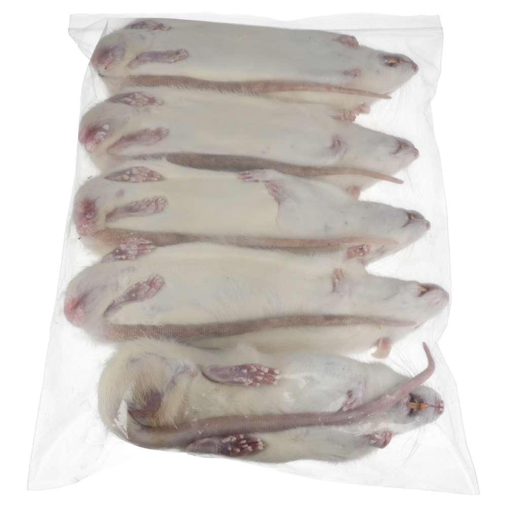PLT Frozen Rats Ex-Breeder 450g+