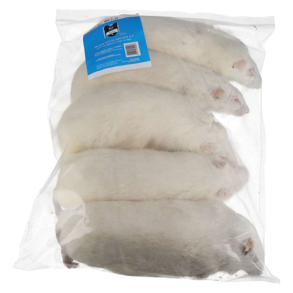 PLT Frozen Rats Ex-Breeder 500g+